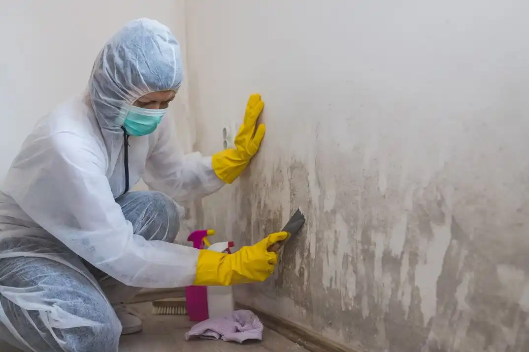 water damage restoration service Greenbrook